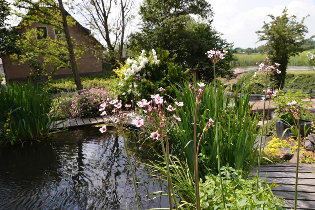 Guest House Aan De Hollandse Ijssel Montfoort Екстер'єр фото